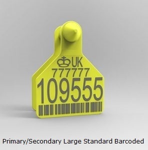 PrimarySecondary Large Standard Barcoded.jpg