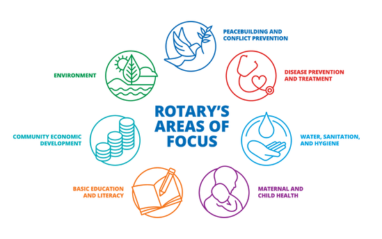Areas of Focus Icon - Circular Group (Color)