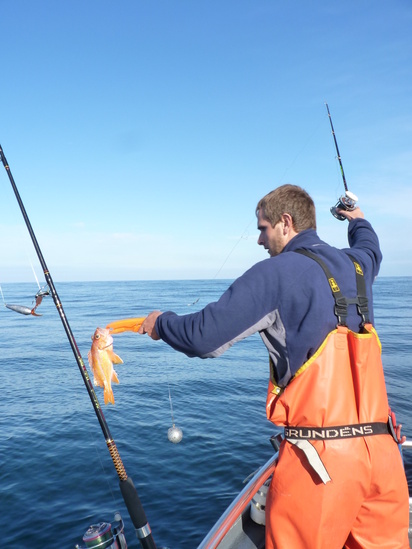 ODFW_Lynn Mattes_canary rf recreational fishing.jpg