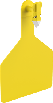 ZTAGS S208 YELLOW (A1).png