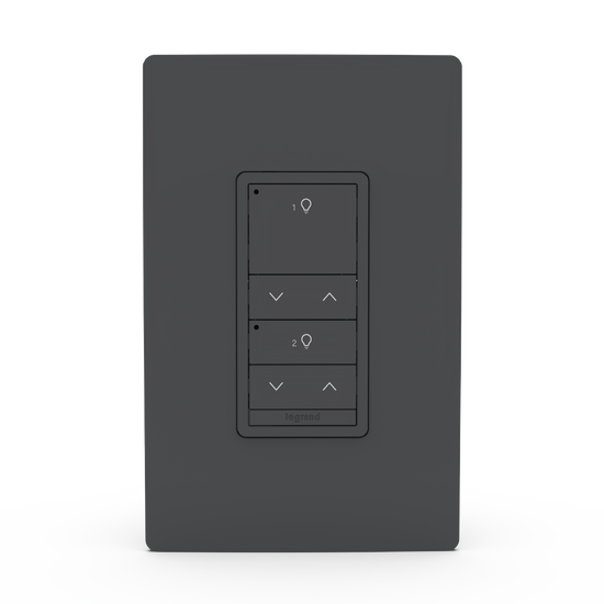 Black Wattstopper PLUS 2 Button 2 Rocker Switch