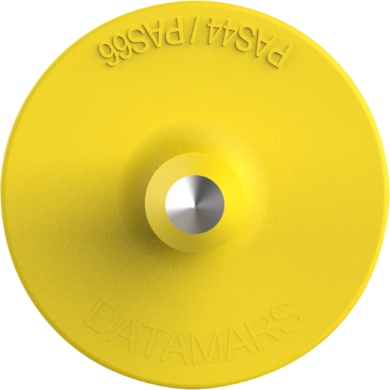ZTAGS M2Z YELLOW (F).psd