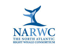 logo-narwc2008_4.jpg