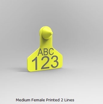 Medium Female Printed 2 Lines.jpg