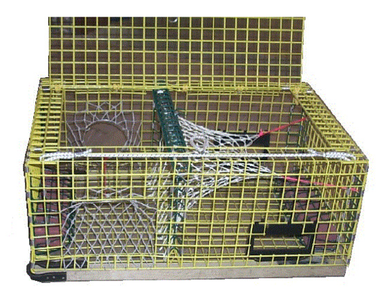 lobster trap.GIF