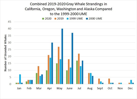 UME gray 26July2019.jpg