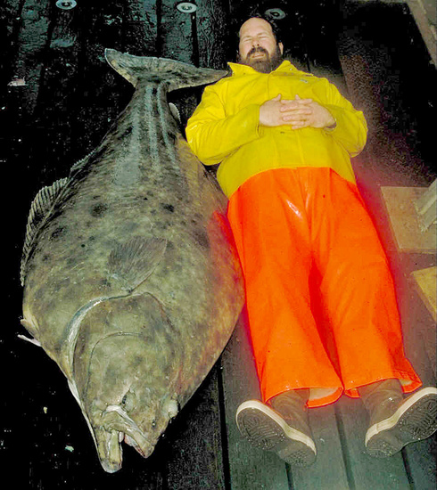 pacific-halibut_0.jpg