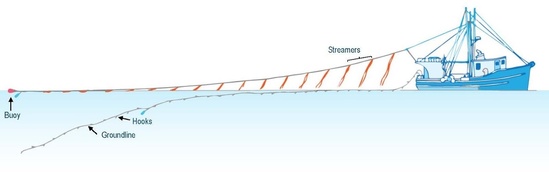 diagram-streamer-links.jpeg