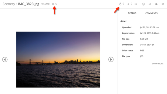 An asset with social features enabled