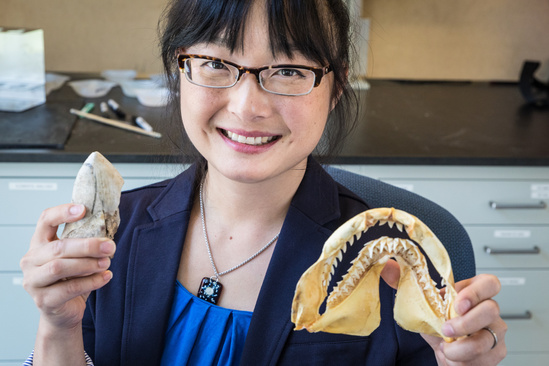 Faculty member conducting research