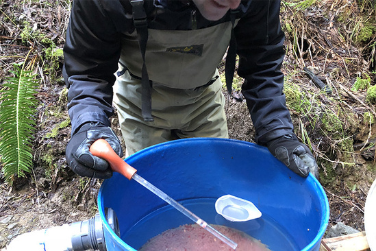 DanWilson_NMFS_RemovalSideIncubators3.jpg