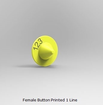 Female Button Printed 1 Line.jpg