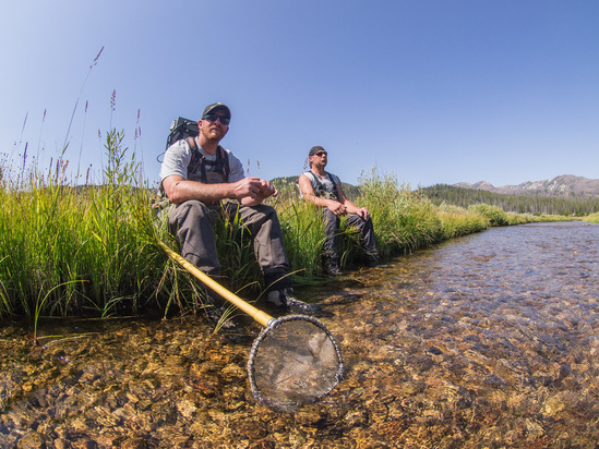 scientists field sampling near a stream.jpg