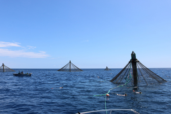 Blue Ocean Mariculture Pens 2.jpg