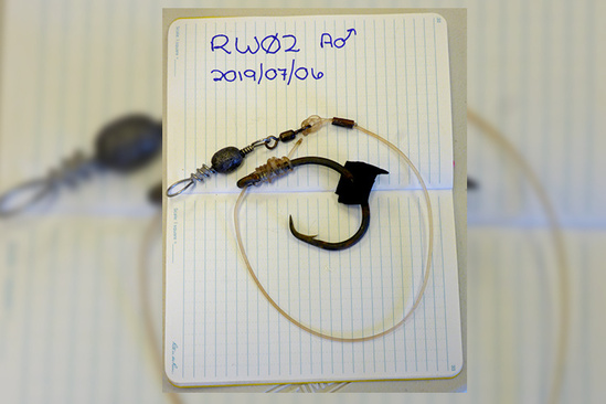 A fishing hook, line, and sinker that was removed from a seal.