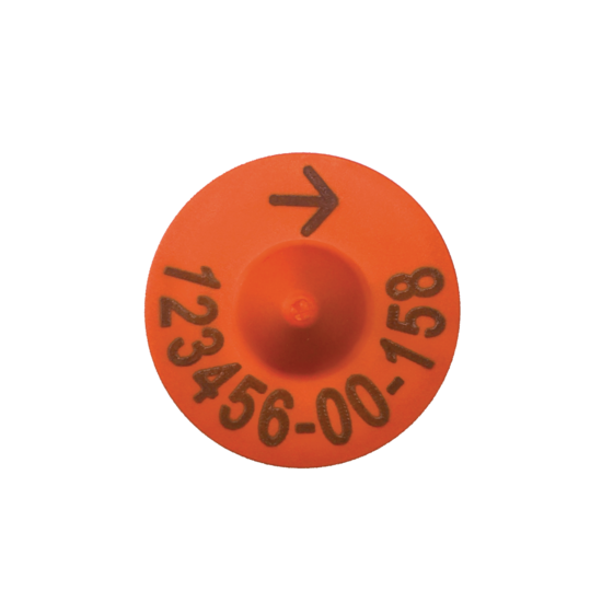 00_DEER NAIT Tags_Female.psd