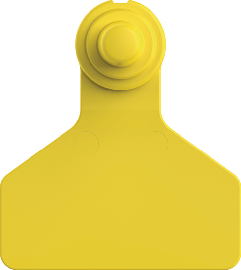 ZTAGS F211 YELLOW (B).jpg