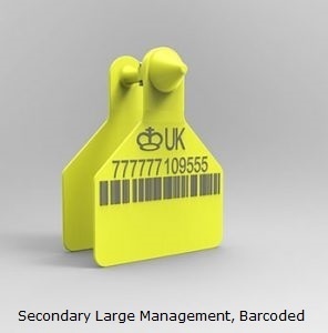 Secondary Large Management, Barcoded.jpg