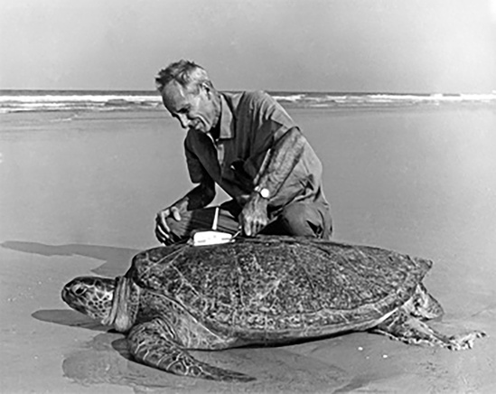 archie-carr_florida_univ.jpg