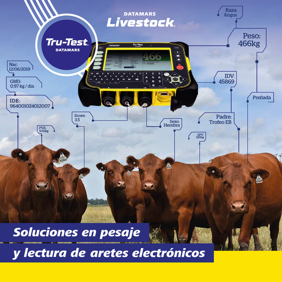 Soluciones en pesaje y lectura de aretes electrónicos