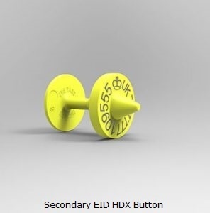 Secondary EID HDX Button.jpg