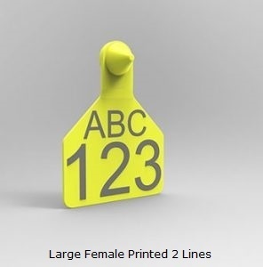 Large Female Printed 2 Lines.jpg