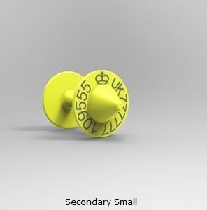 Secondary Small.jpg