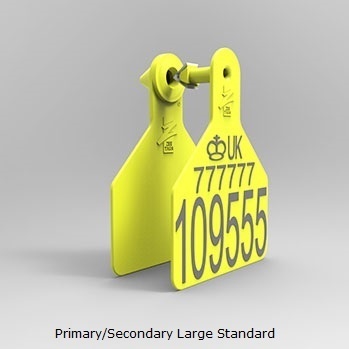 PrimarySecondary Large Standard.jpg