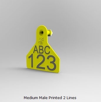 Medium Male Printed 2 Lines.jpg