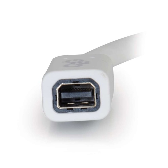 Firewire 400 To Thunderbolt