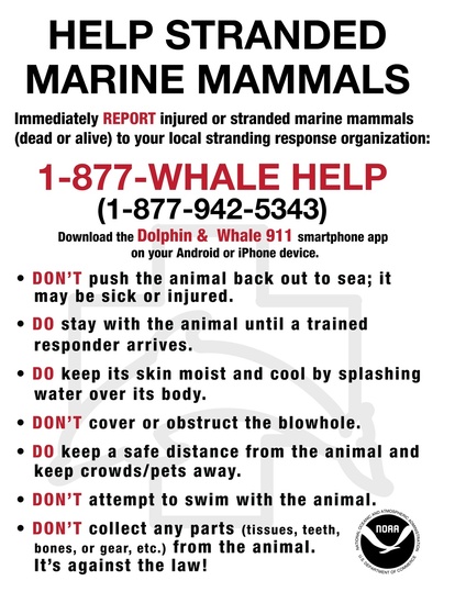 mm_stranding_sign.jpg
