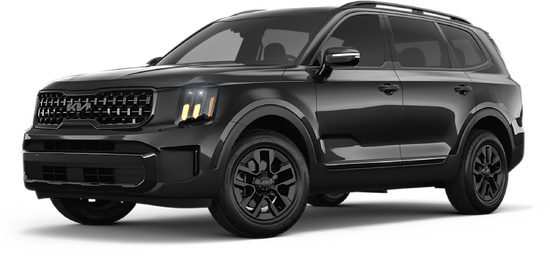 2025 Kia Telluride EX X-Pro