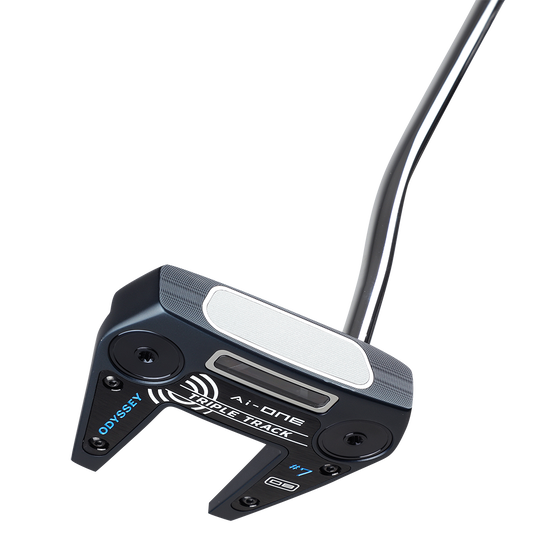 PT RH OD AI ONE TRPL TRK 7 DB PSTL 34 JV