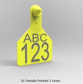 XL Female Printed 2 Lines.jpg