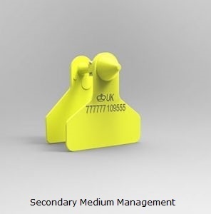 Secondary Medium Management.jpg
