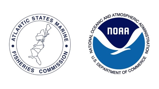 asmfc_noaa.jpg