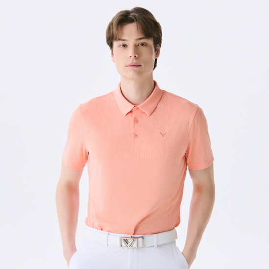 여름 자카드 Y에리 반팔 티셔츠