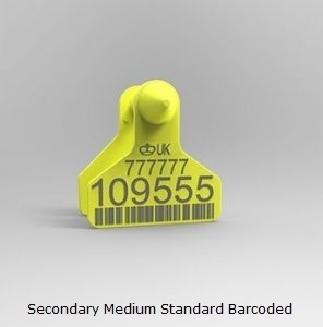 Secondary Medium Standard Barcoded.jpg